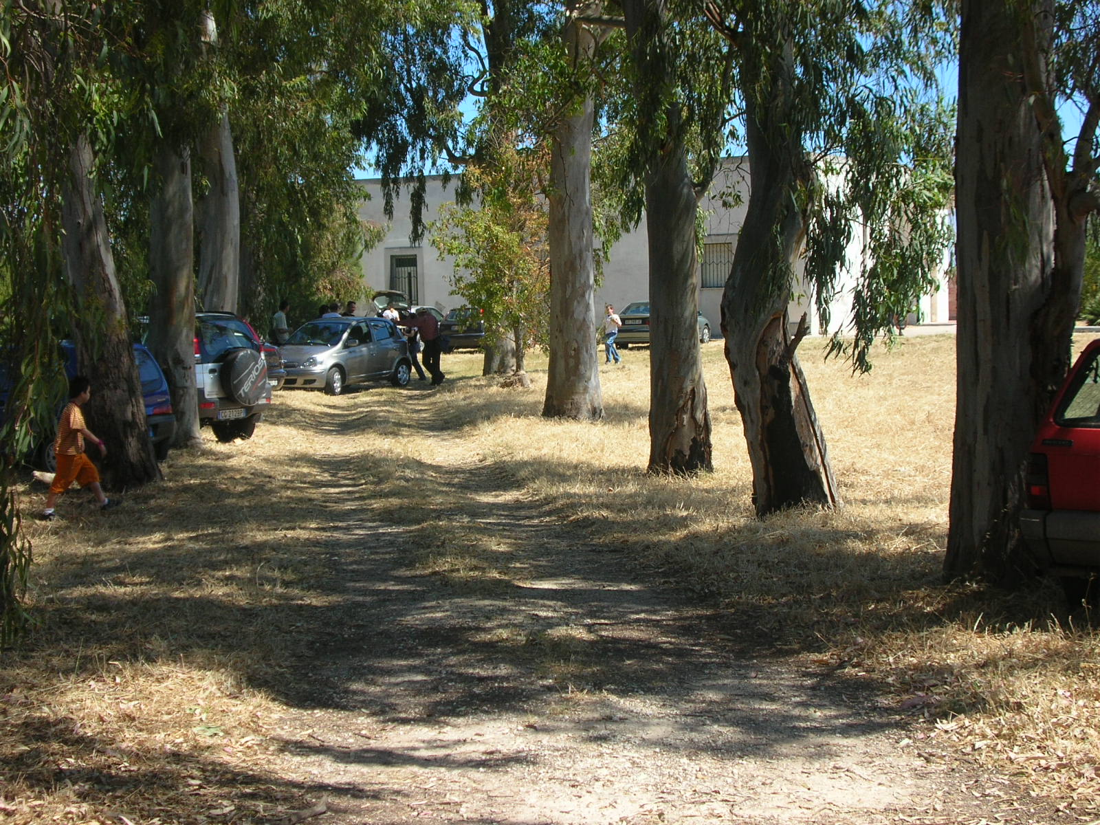 26_News_foto elisa 047.jpg